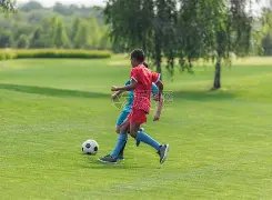 领袖奋力拼,搏负伤,赛季戛然而,开云足球,足球比赛资讯,足球赛事平台,足球赛程信息,足球赛事动态