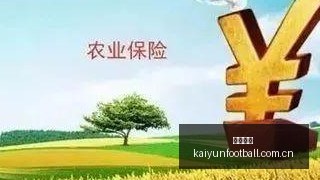 勇士官宣,库里续约在,亿大合同锁,开云足球,足球比赛资讯,足球赛事平台,足球赛程信息,足球赛事动态