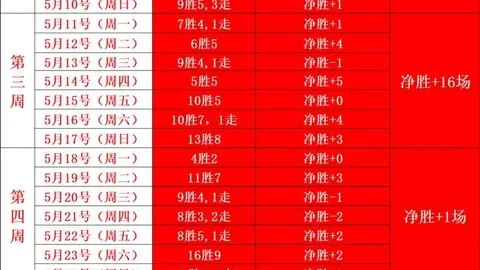 国际赛历程：三届未尝胜果，2026年能否突破